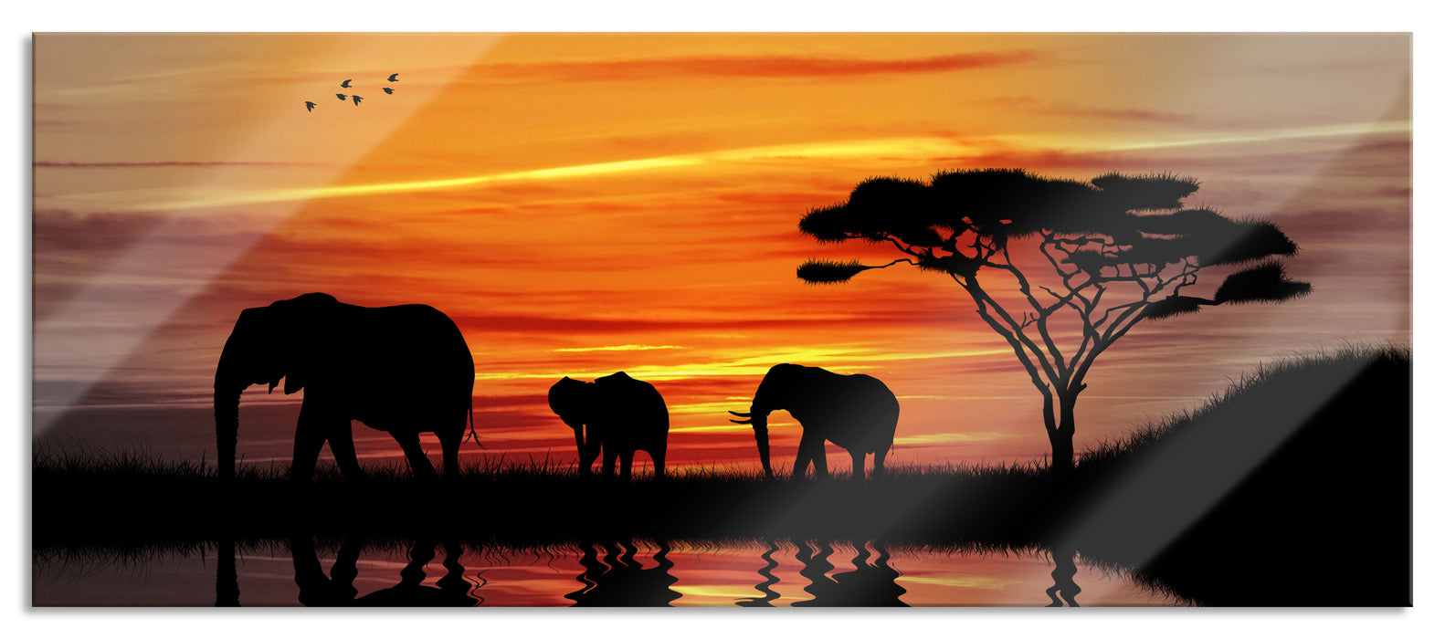 Pixxprint Afrika Elefant in Sonnenschein, Glasbild Panorama