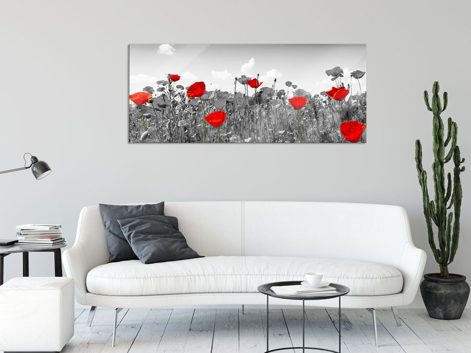 schöner rot leuchtender Mohn, Glasbild Panorama