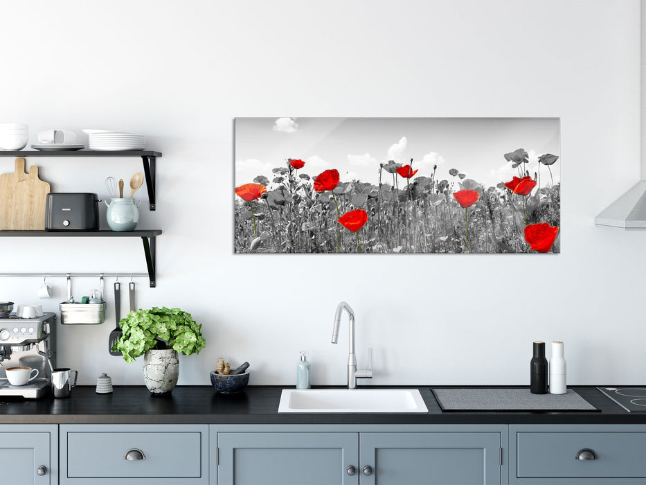 schöner rot leuchtender Mohn, Glasbild Panorama