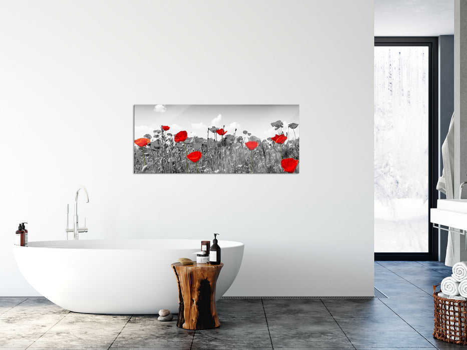 schöner rot leuchtender Mohn, Glasbild Panorama