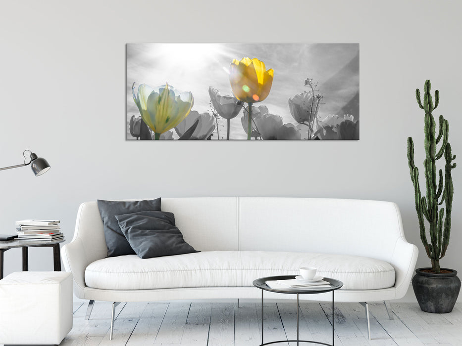 wunderschöne Tulpenwiese, Glasbild Panorama