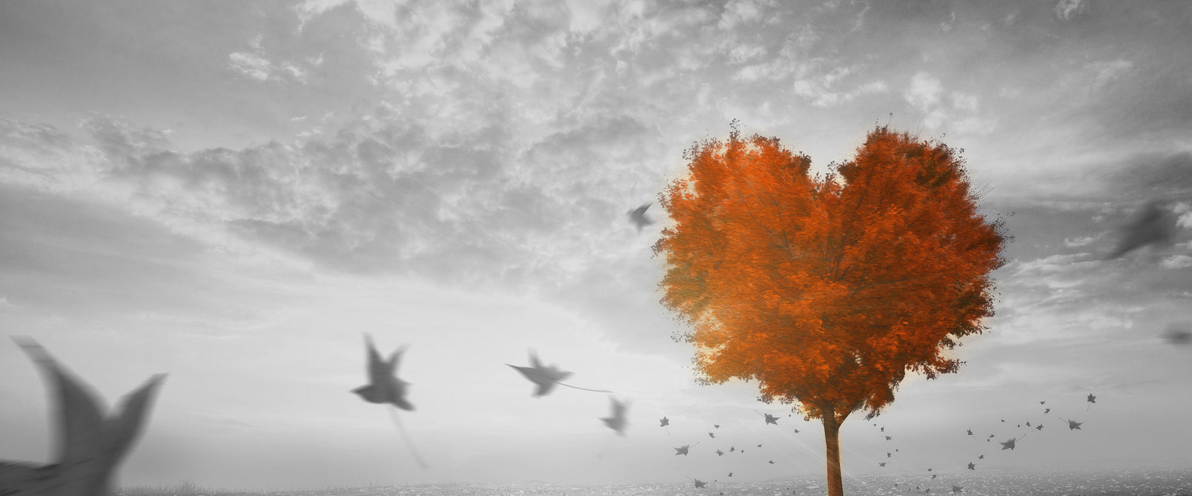 Roter Herzbaum im Herbst, Glasbild Panorama