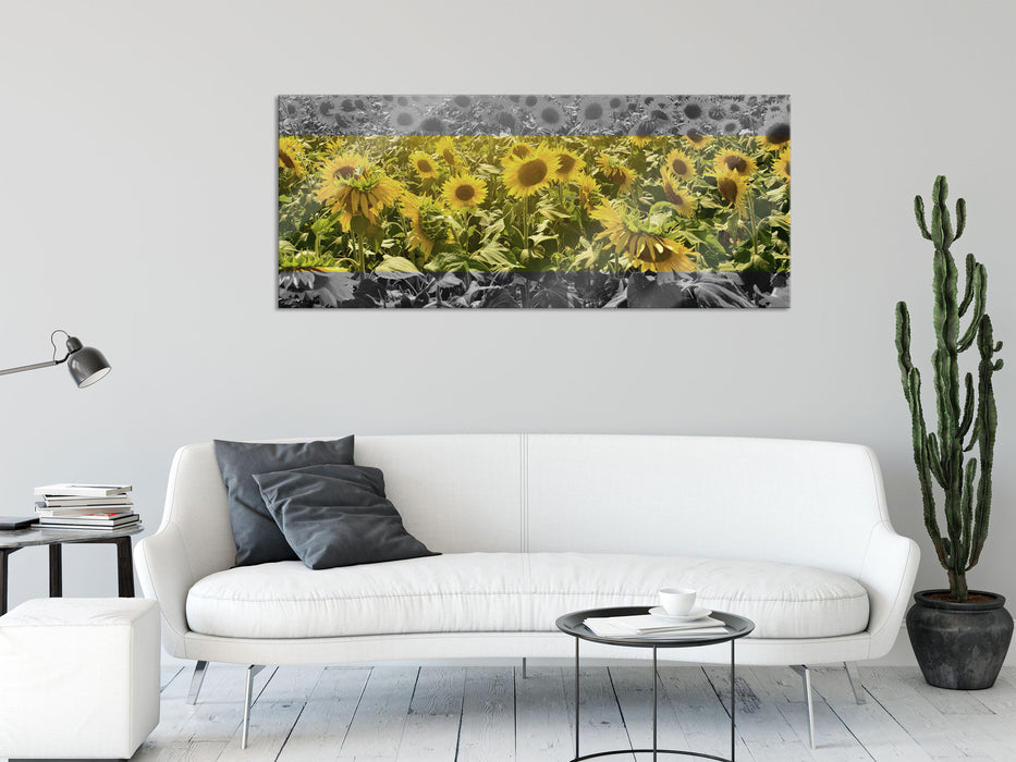 Wunderschönes Sonnenblumenfeld, Glasbild Panorama