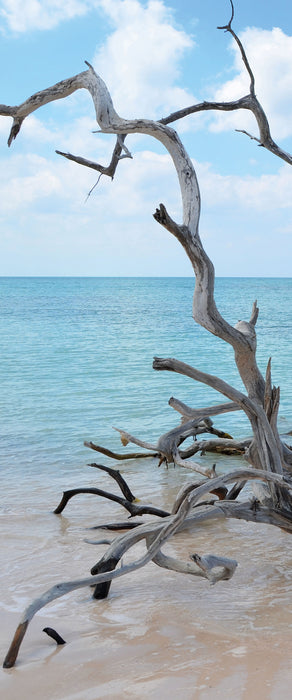 Strand Meer Havanna Kuba, Glasbild Panorama