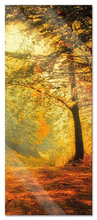 Pixxprint Wald im Herbst, Glasbild Panorama