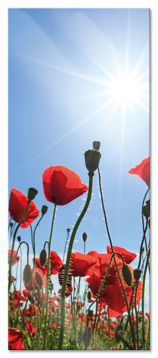 Pixxprint Mohnblumen, Glasbild Panorama