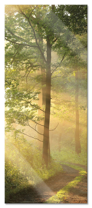 Pixxprint Waldweg, Glasbild Panorama