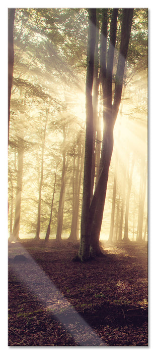 Pixxprint Waldlichtung im Sonnenschein, Glasbild Panorama