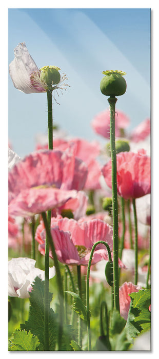 Pixxprint Blumenwiese Mohnblumen, Glasbild Panorama