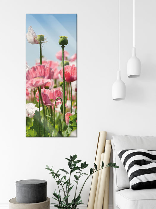 Blumenwiese Mohnblumen, Glasbild Panorama