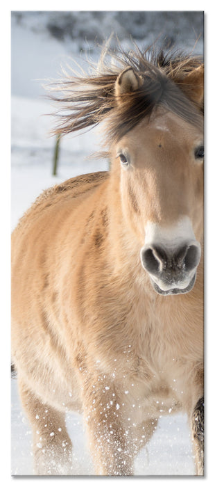 Pixxprint Pferd im Schnee, Glasbild Panorama