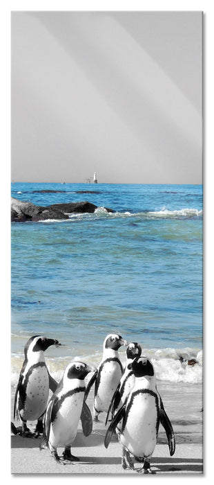 Pixxprint lustige Pinguine am Strand, Glasbild Panorama