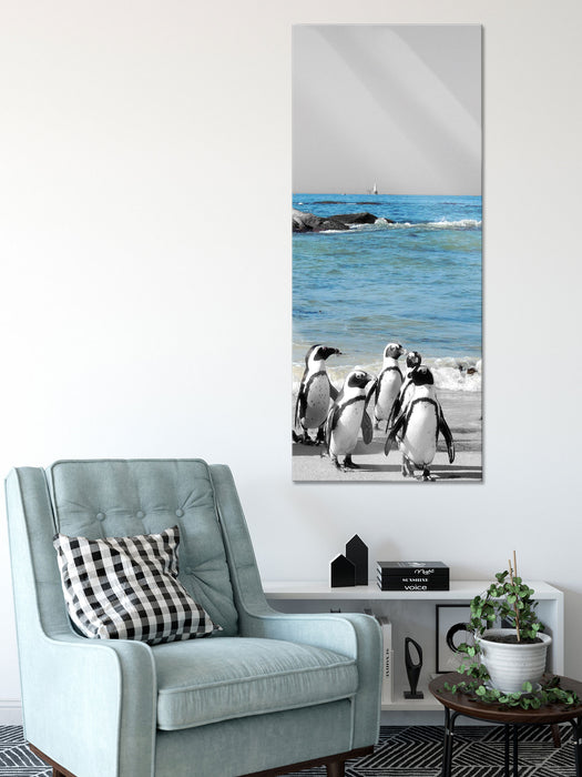 lustige Pinguine am Strand, Glasbild Panorama