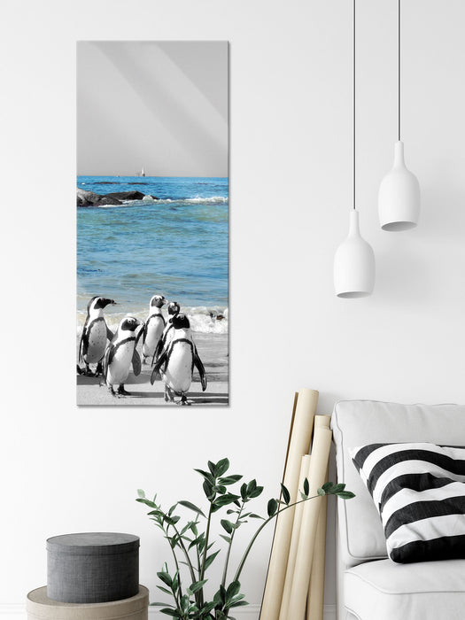 lustige Pinguine am Strand, Glasbild Panorama