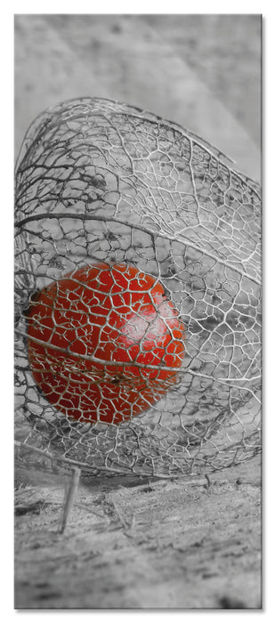 Pixxprint leckere Physalis in Schale, Glasbild Panorama