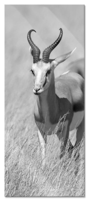 Pixxprint Tiere in Savanne, Rehe, Afrika, Glasbild Panorama