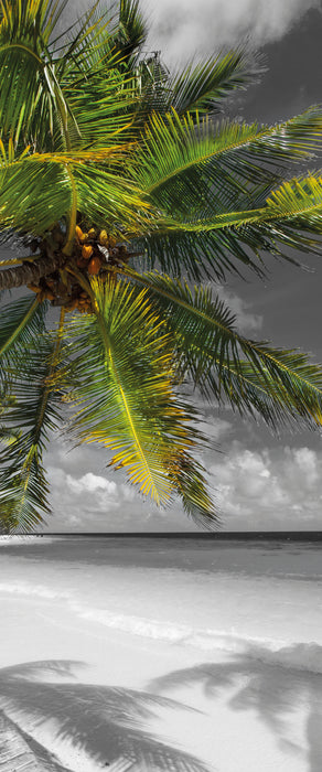 riesige Palmen über Strand, Glasbild Panorama