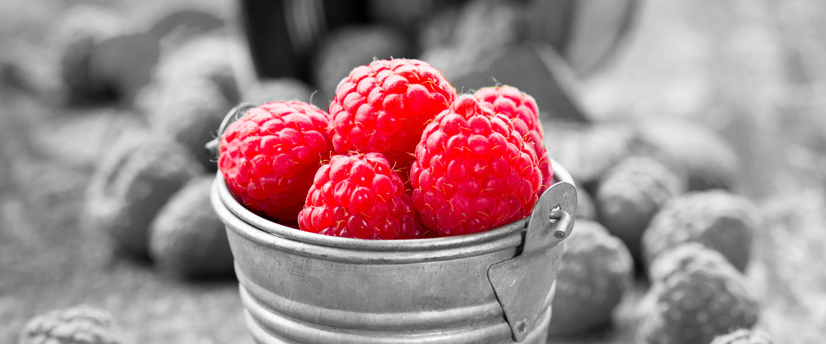 Früchte Eimer Obst Fruit food, Glasbild Panorama