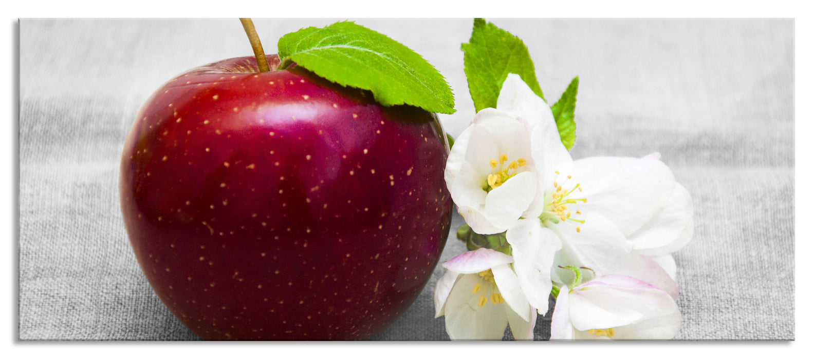 Pixxprint Schöner roter Apfel mit Blüten, Glasbild Panorama