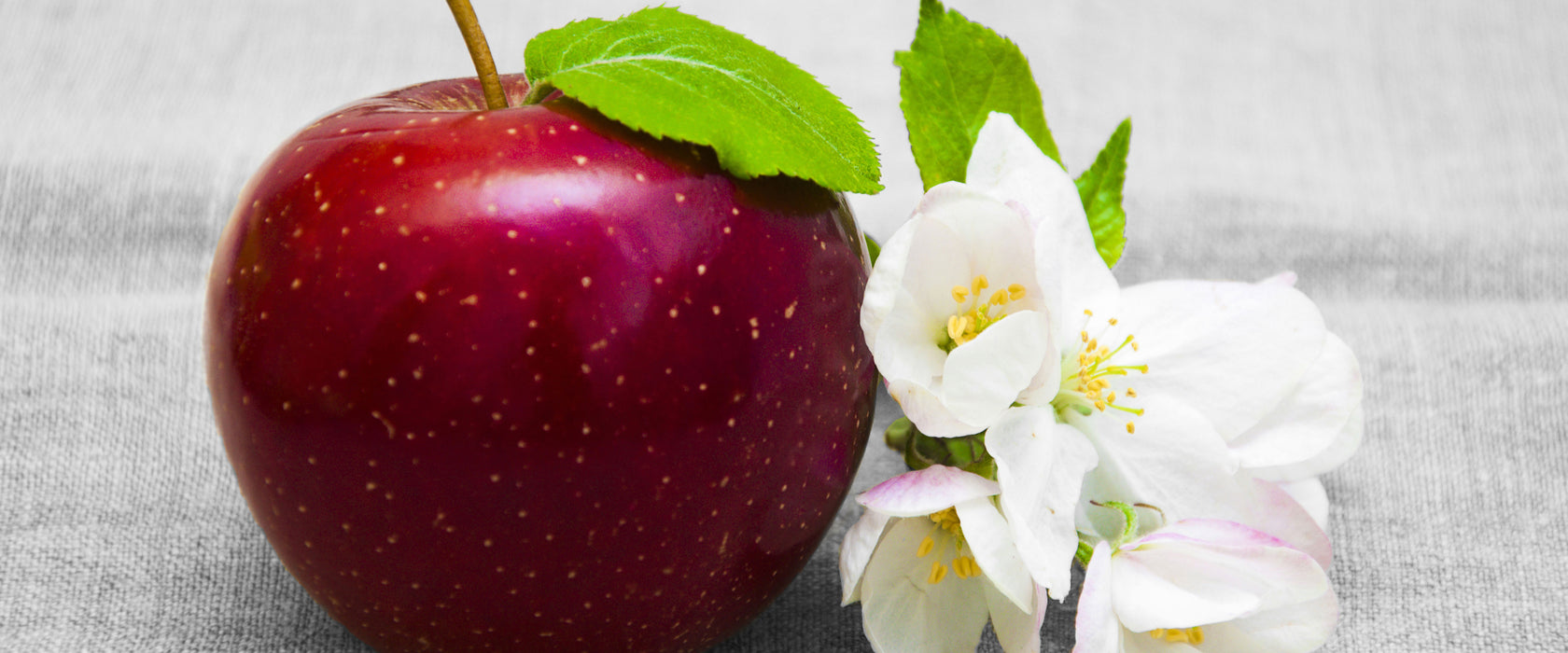 Schöner roter Apfel mit Blüten, Glasbild Panorama