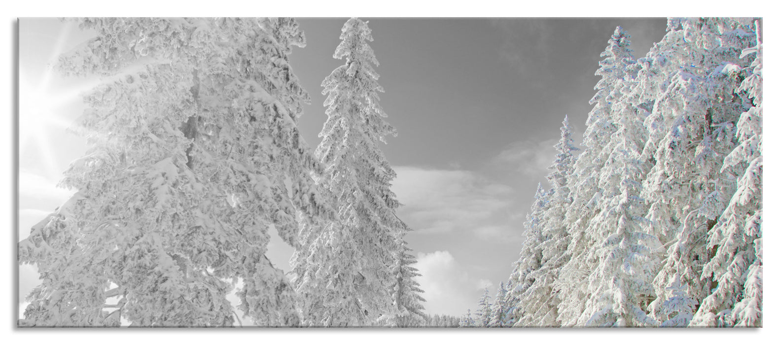 Pixxprint Winterlandschaft mit Bäumen, Glasbild Panorama