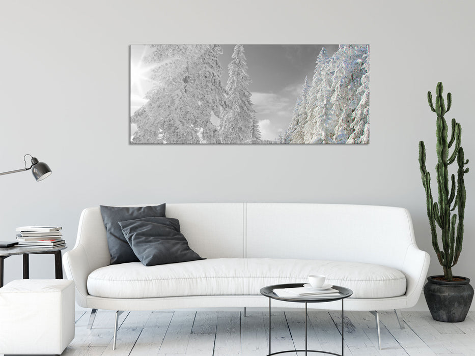 Winterlandschaft mit Bäumen, Glasbild Panorama