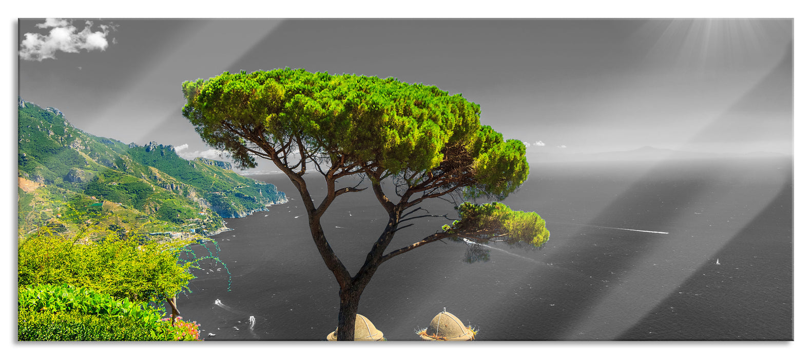 Pixxprint Baum am Mittelmeer, Glasbild Panorama