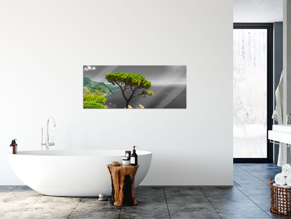 Baum am Mittelmeer, Glasbild Panorama