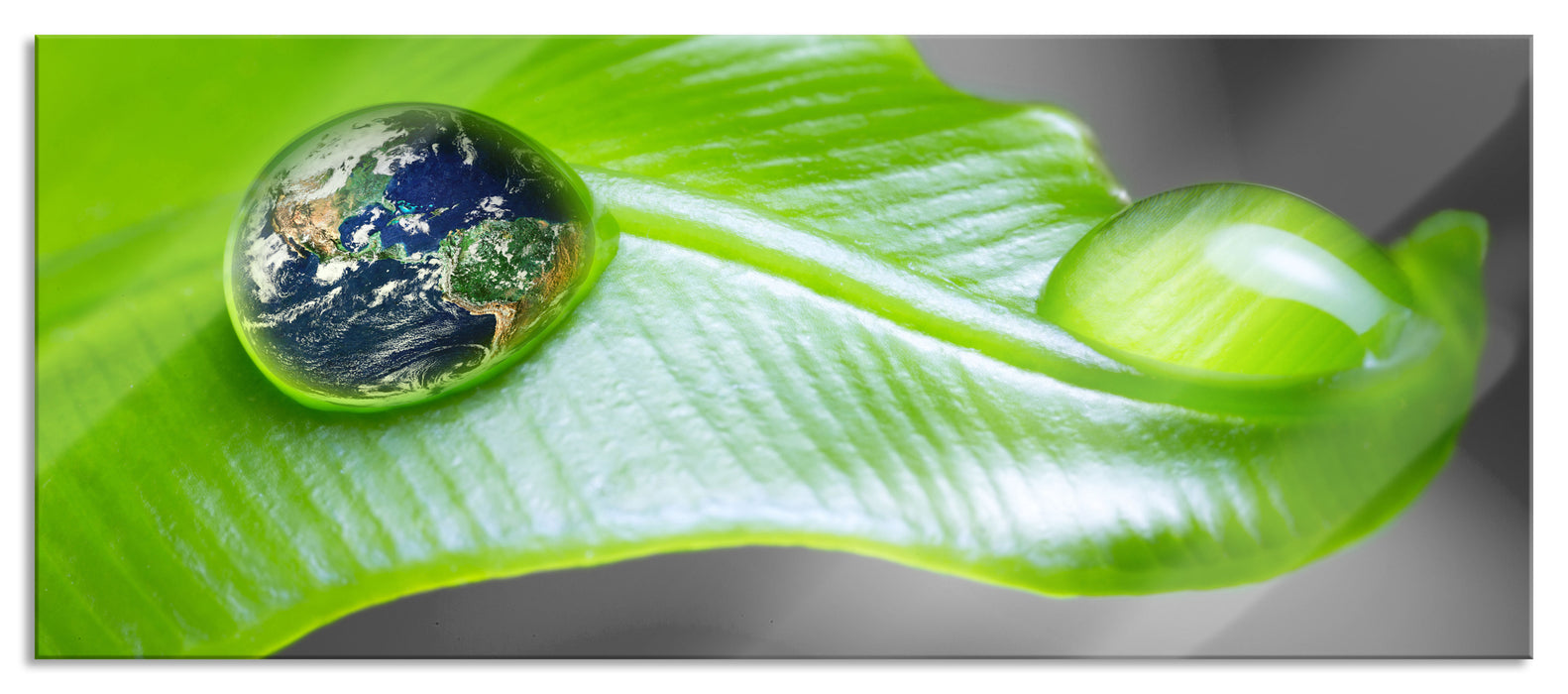 Pixxprint Erde in einem Tautropfen, Glasbild Panorama
