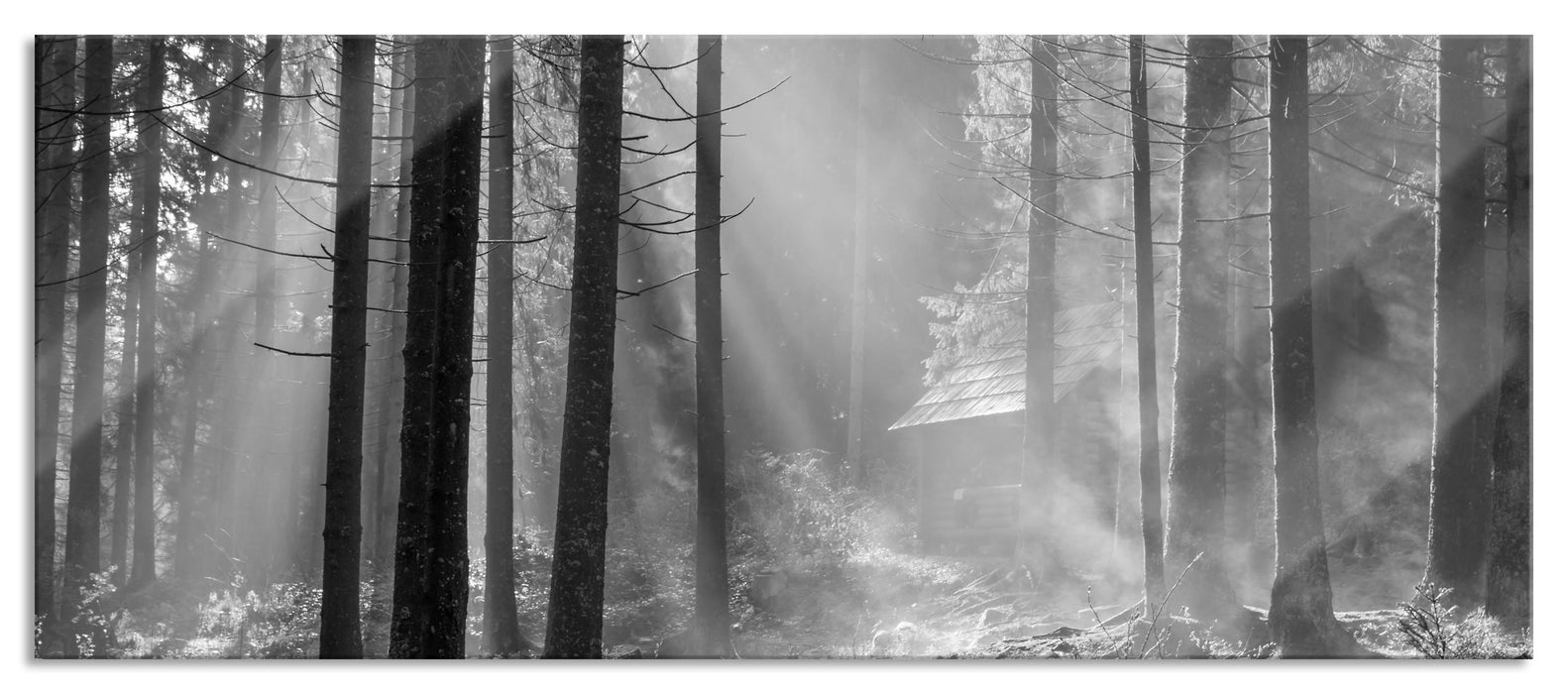 Pixxprint Häuschen im Wald, Glasbild Panorama