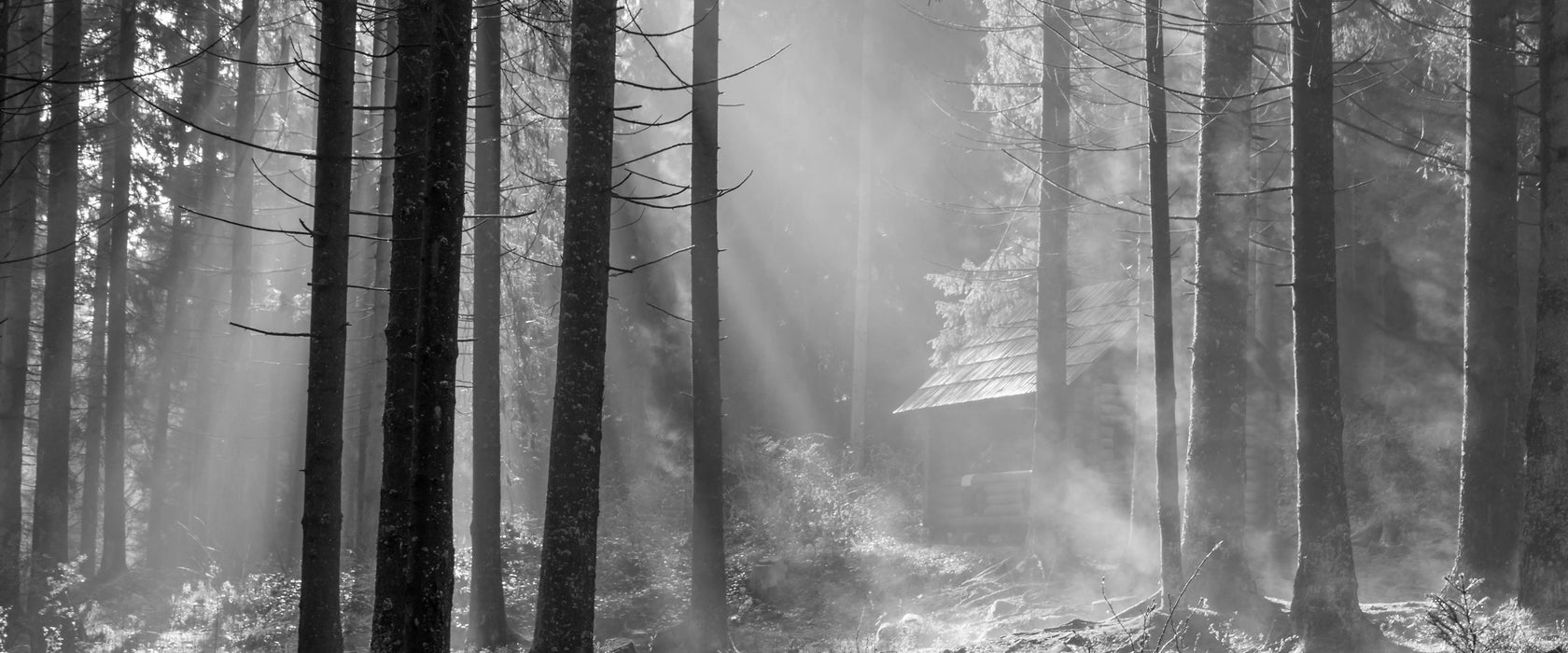 Häuschen im Wald, Glasbild Panorama