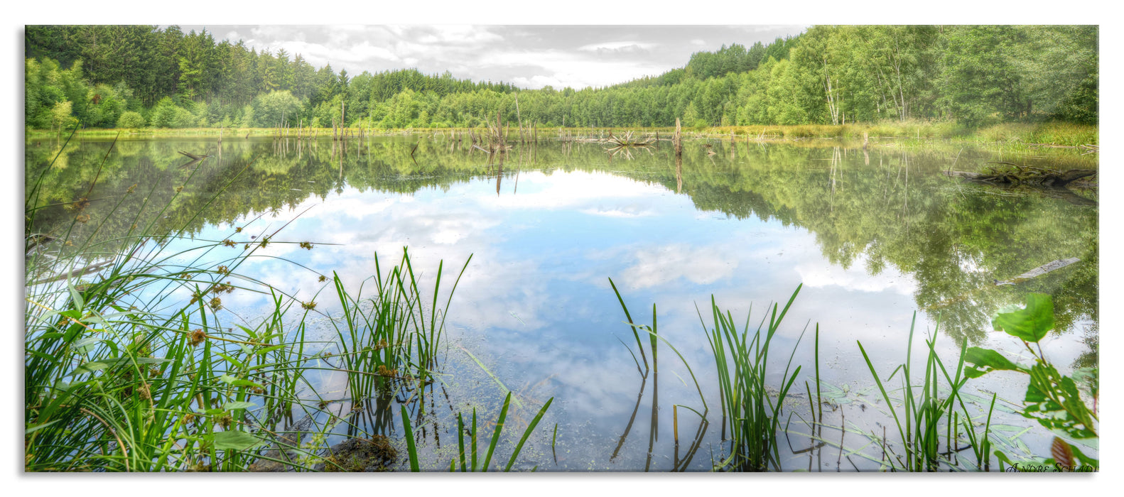 Pixxprint traumhafter See in grünem Wald, Glasbild Panorama