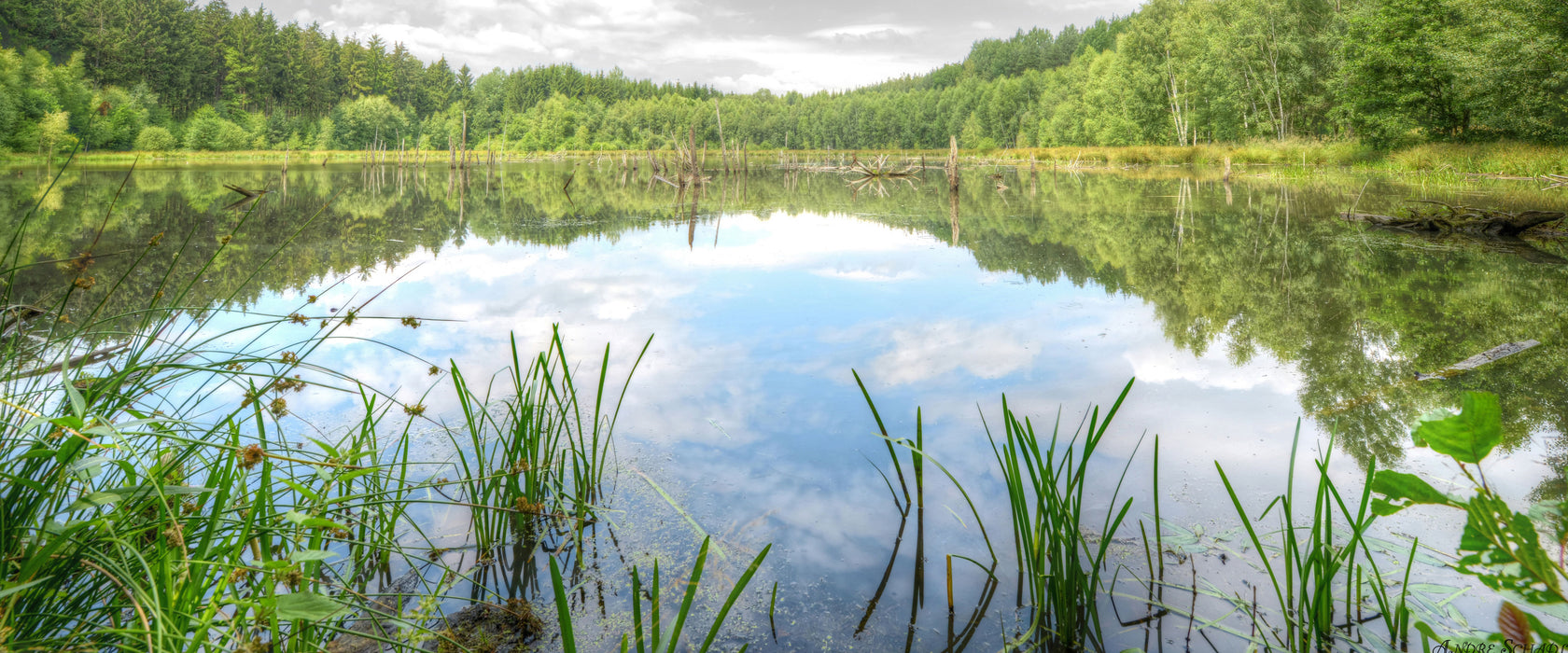 traumhafter See in grünem Wald, Glasbild Panorama