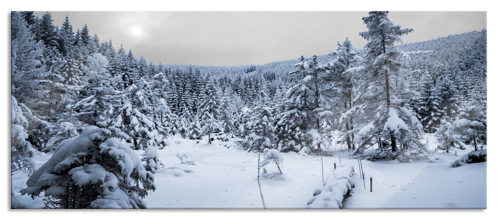 Pixxprint Wald im verschneiten Winter, Glasbild Panorama