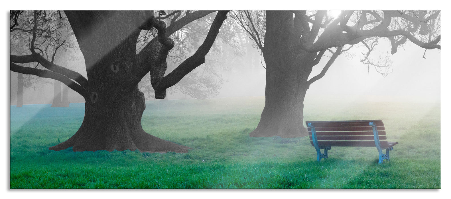 Pixxprint Einsame Bank im Nebel, Glasbild Panorama