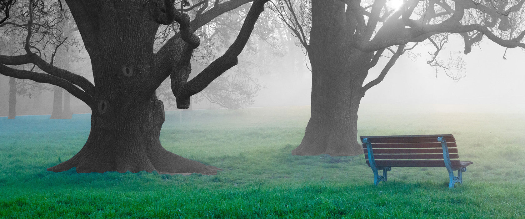 Einsame Bank im Nebel, Glasbild Panorama