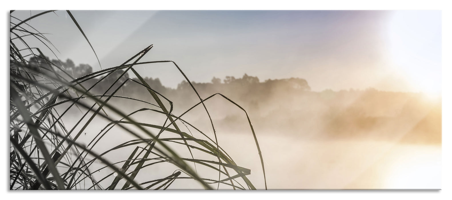 Pixxprint Schneidegras am See, Glasbild Panorama