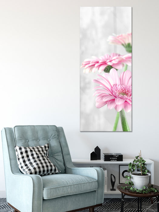 schöne Gerberas bei Tageslicht, Glasbild Panorama