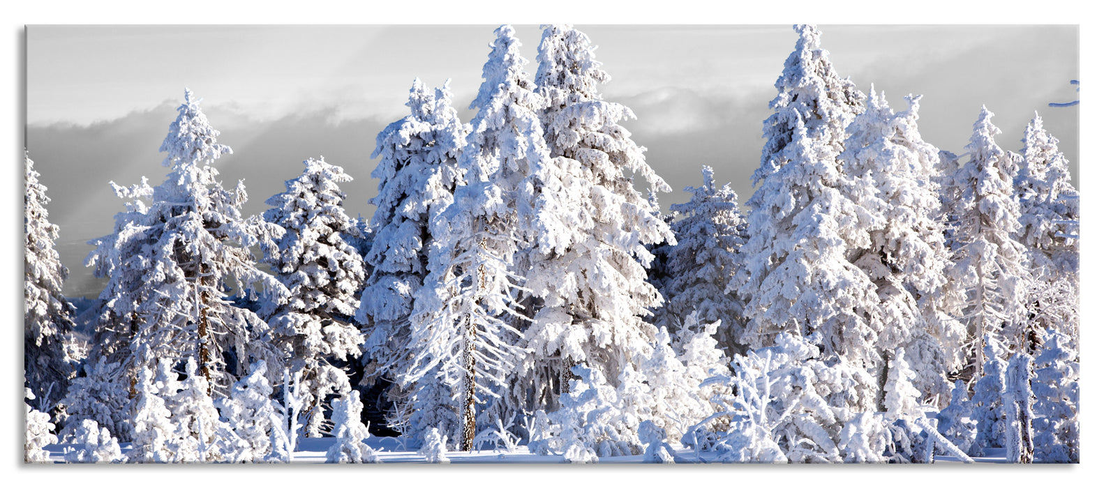 Pixxprint Winter Wunderland, Glasbild Panorama