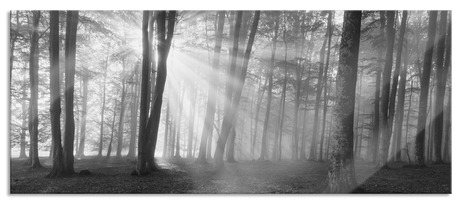 Pixxprint Wald mit Sonnenstrahlen, Glasbild Panorama