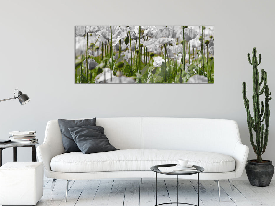 Blumenwiese Mohnblumen, Glasbild Panorama