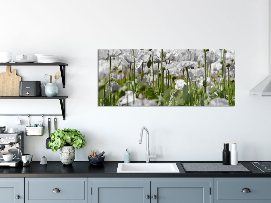 Blumenwiese Mohnblumen, Glasbild Panorama