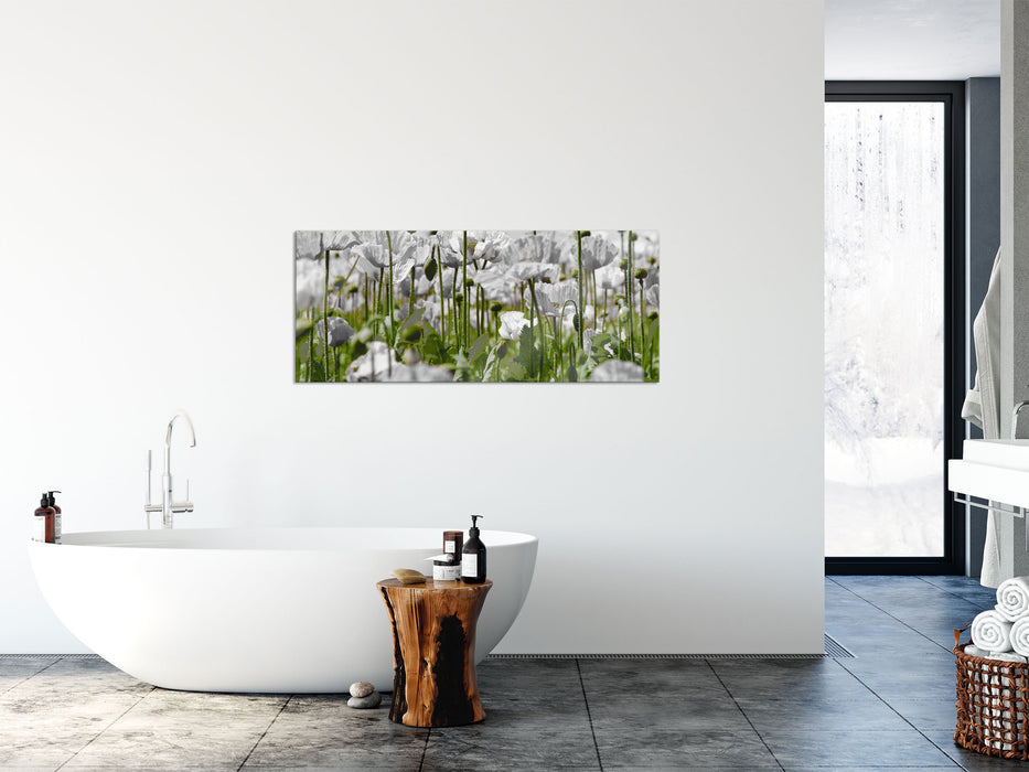 Blumenwiese Mohnblumen, Glasbild Panorama