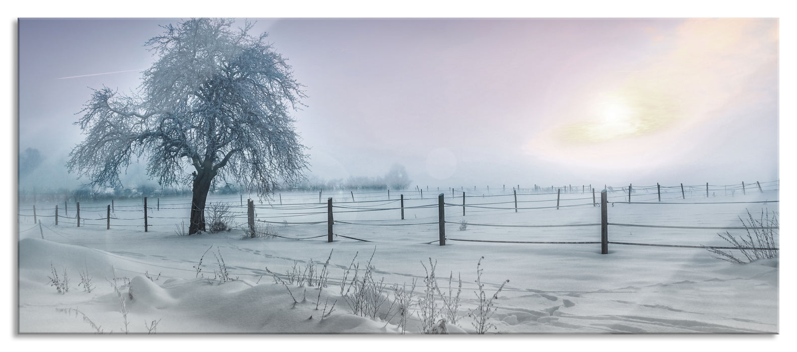 Pixxprint Baum in Winterlandschaft, Glasbild Panorama