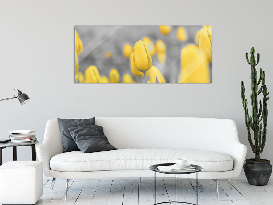 Gelbes Tulpenmeer, Glasbild Panorama