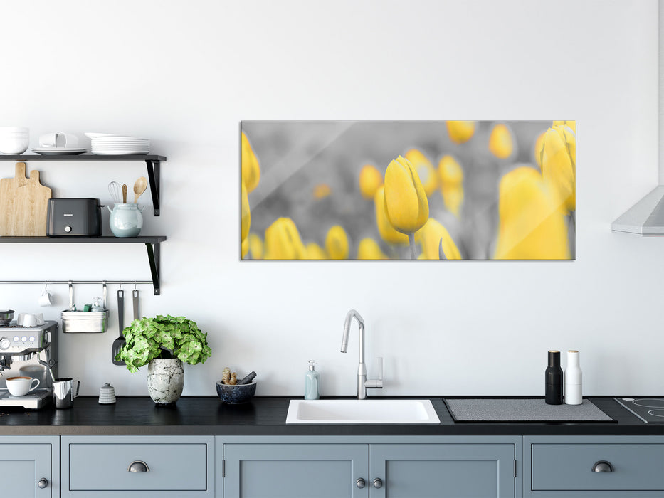 Gelbes Tulpenmeer, Glasbild Panorama