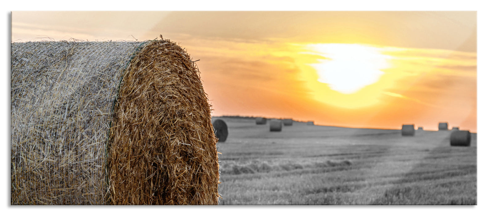 Pixxprint Strohballen auf Feld, Glasbild Panorama