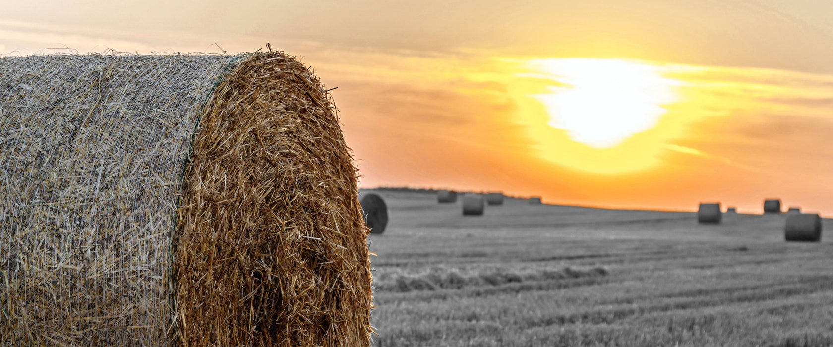 Strohballen auf Feld, Glasbild Panorama