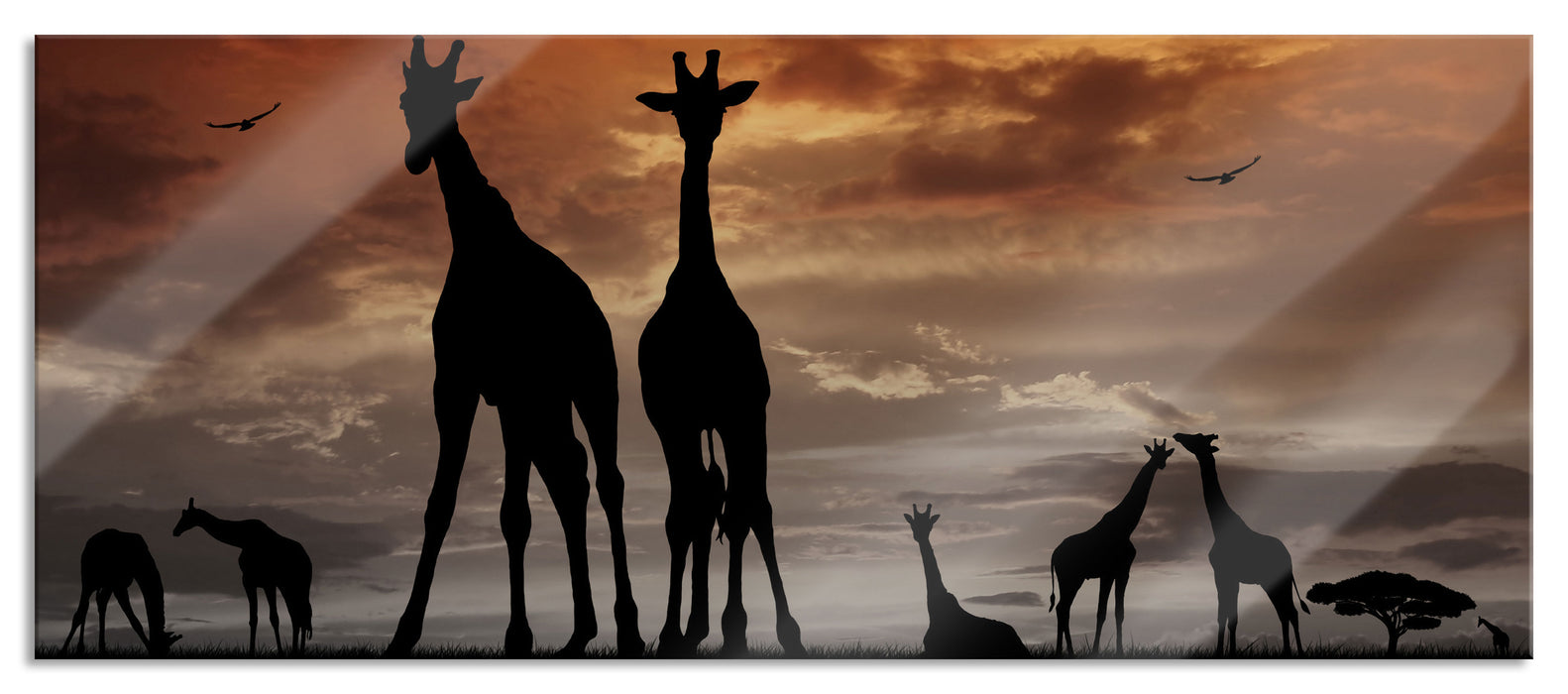 Pixxprint Afrika Giraffen im Sonnenuntergang, Glasbild Panorama