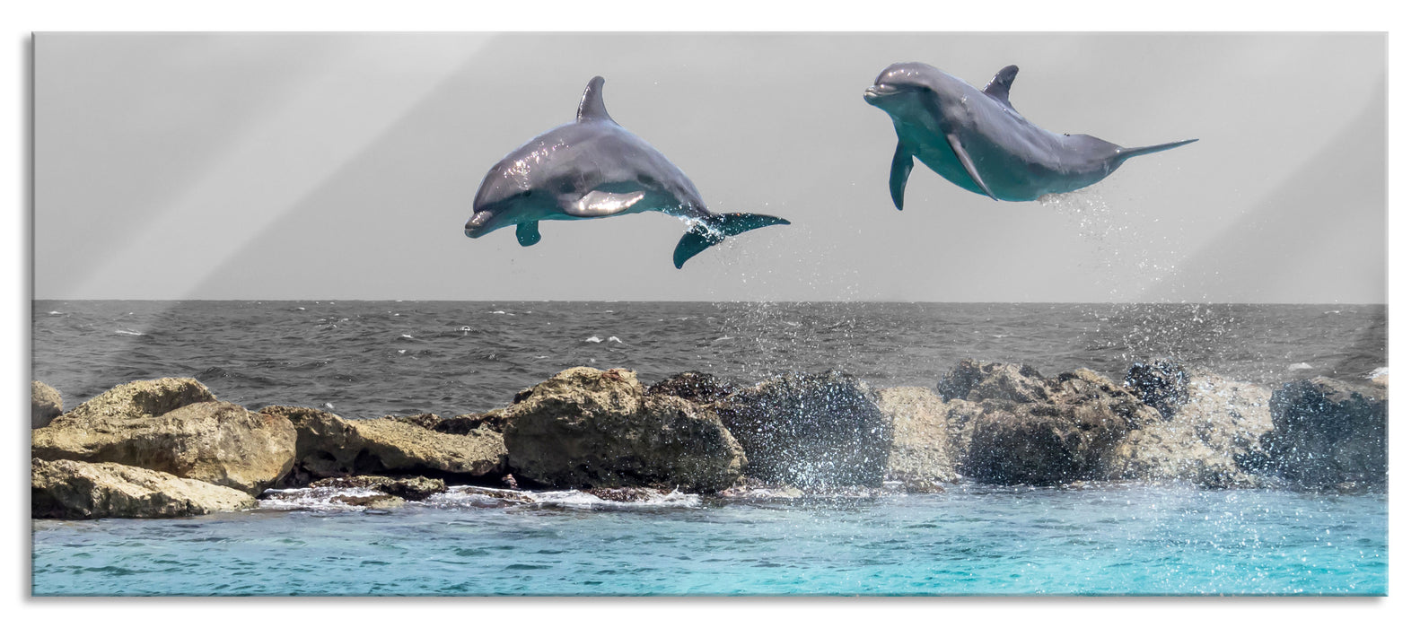 Pixxprint zwei hoch springende Delphine, Glasbild Panorama